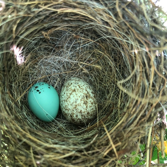 Make reasonable offer - Picture 13 of 15